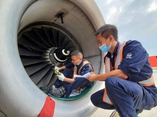 飞机最新吃瓜视频,航拍视角下的空中奇观