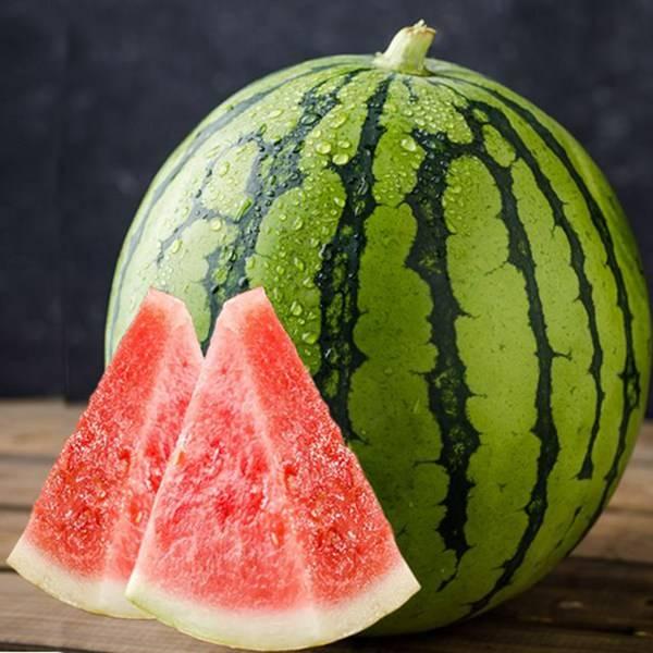 凌霄吃瓜完整视频,全程精彩瞬间回顾