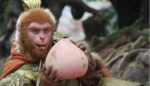 孙悟空博主吃瓜视频下载,揭秘热门视频背后的下载攻略