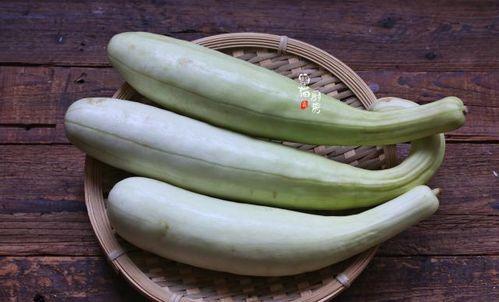 腿瓜怎样吃最好吃视频讲解,视频教你最佳食用方法