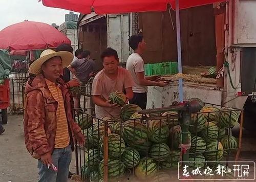 馆陶县吃瓜群众事件视频,一场网络舆论的风暴与反思