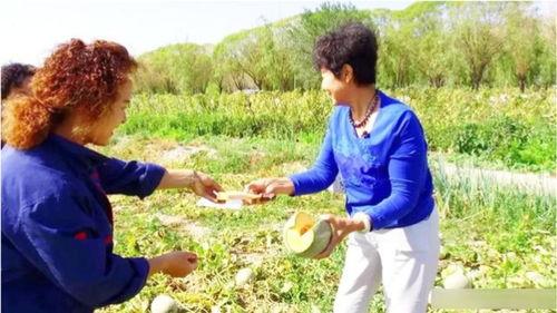 新疆老奶奶吃哈密瓜视频,哈密瓜的诱惑与回忆