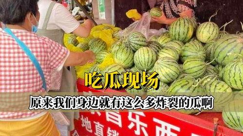 一家人炸裂吃瓜视频大全,炸裂家庭瞬间！年度吃瓜视频大全大揭秘