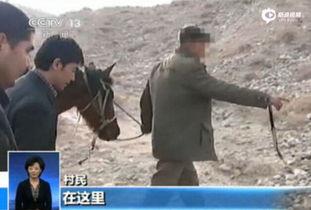 新疆农民吃老汉瓜视频播放,传承美味，共享丰收喜悦