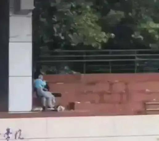 阆中事件吃瓜视频,吃瓜群众视角下的网络热点揭秘