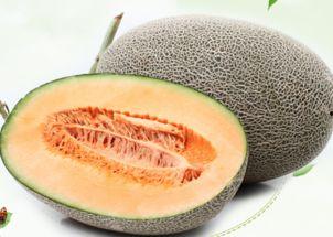 小陈吃哈密瓜视频大全,视频大全带你领略瓜果飘香